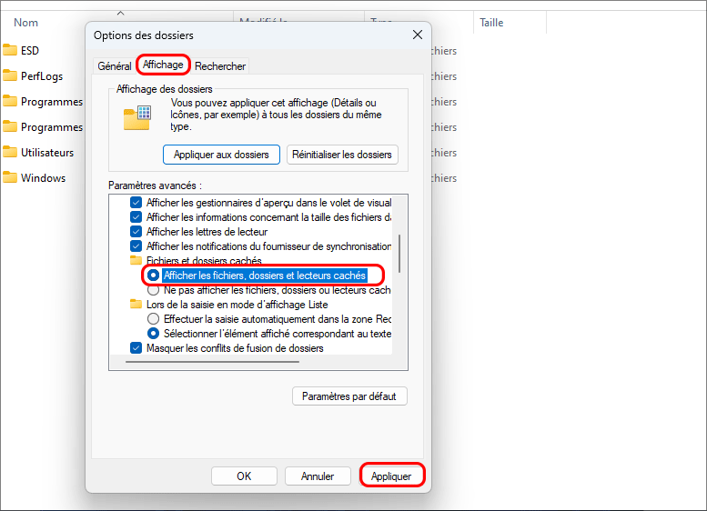 afficher les éléments cachés