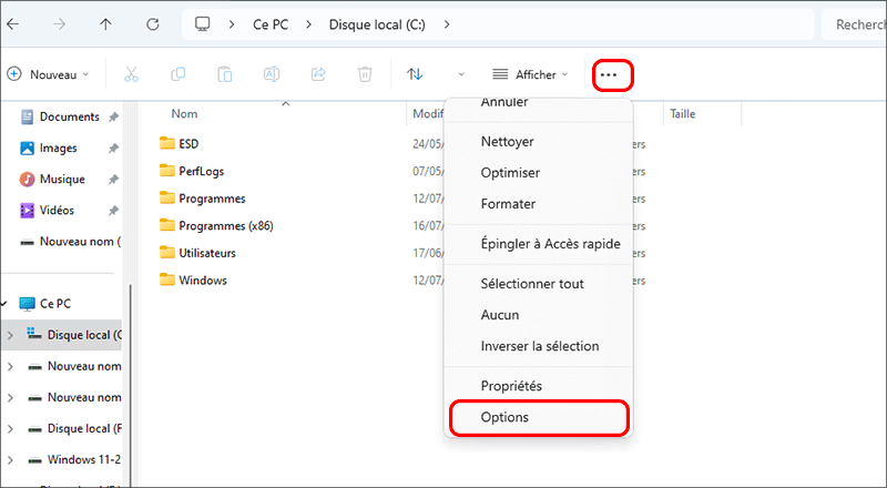 cliquez sur l'option de l'explorateur de fichiers