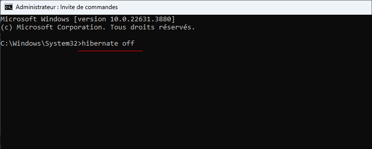 désactiver la mise en veille prolongée