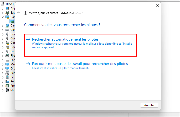 rechercher automatiquement le pilote