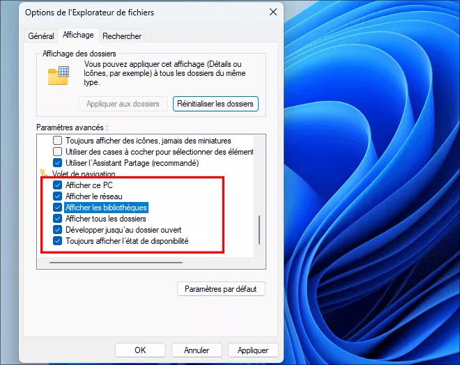 activer tous les elements du volet de navigation