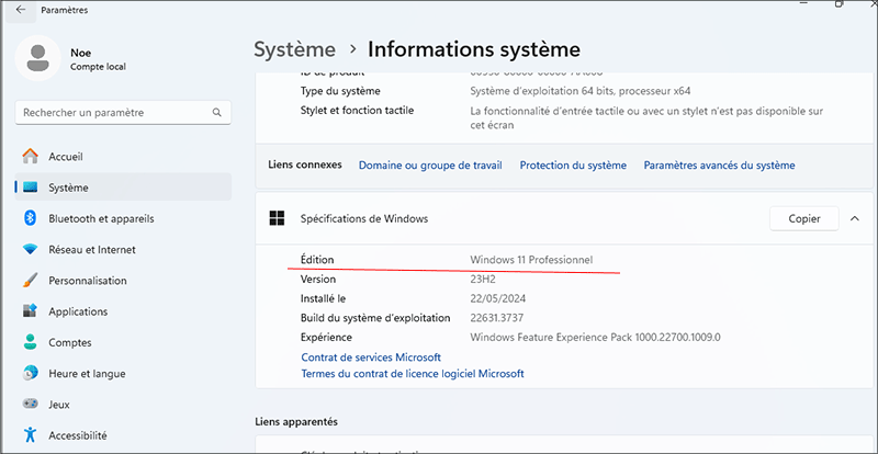 verifier ledition windows