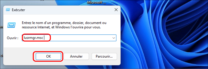 executer lusrmgr msc
