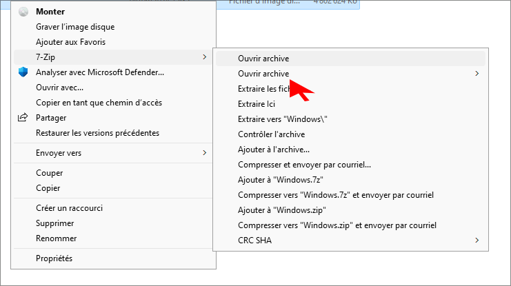 cliquez sur ouvrir larchive