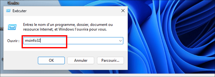 executer msinfo32