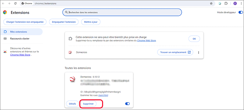 supprimer les extensions de google chrome